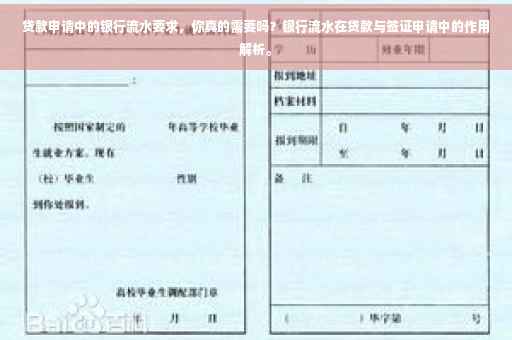 贷款申请中的银行流水要求，你真的需要吗？银行流水在贷款与签证申请中的作用解析。