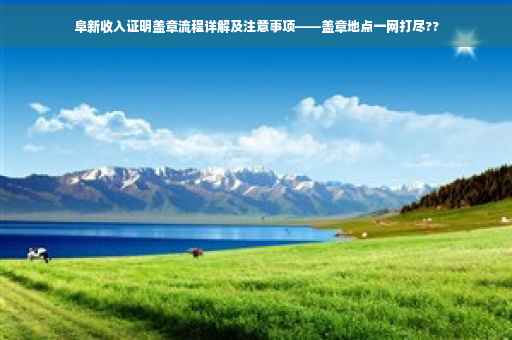 阜新收入证明盖章流程详解及注意事项——盖章地点一网打尽??