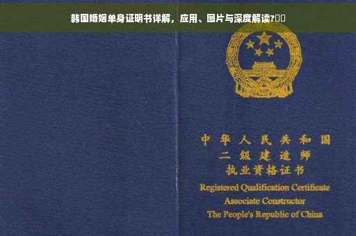 韩国婚姻单身证明书详解，应用、图片与深度解读?⚡️
