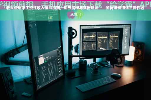 收入证明中工资性收入撰写指南，细节揭秘与实用建议——如何准确描述工资性收入?⚡️