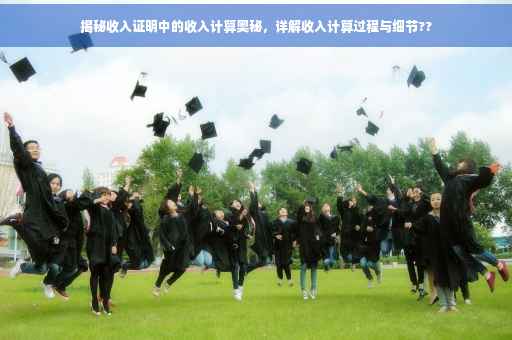 揭秘收入证明中的收入计算奥秘，详解收入计算过程与细节??