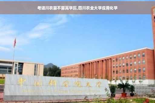 考进川农算不算高学历,四川农业大学应用化学