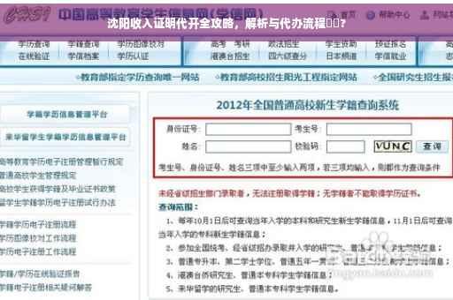 沈阳收入证明代开全攻略，解析与代办流程⚡️?