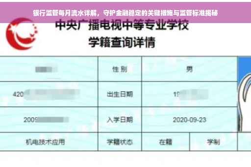 银行监管每月流水详解，守护金融稳定的关键措施与监管标准揭秘