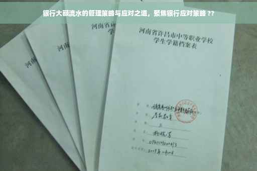 银行大额流水的管理策略与应对之道，聚焦银行应对策略 ??