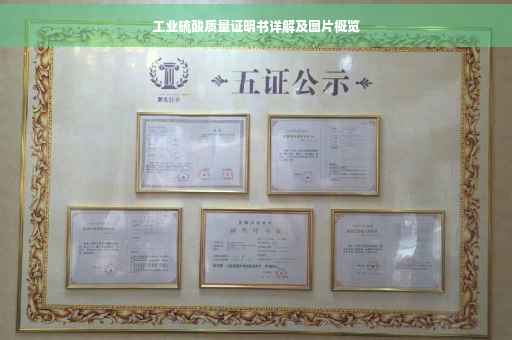 工业硫酸质量证明书详解及图片概览