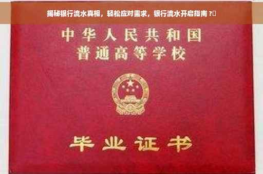 揭秘银行流水真相，轻松应对需求，银行流水开启指南 ?✨