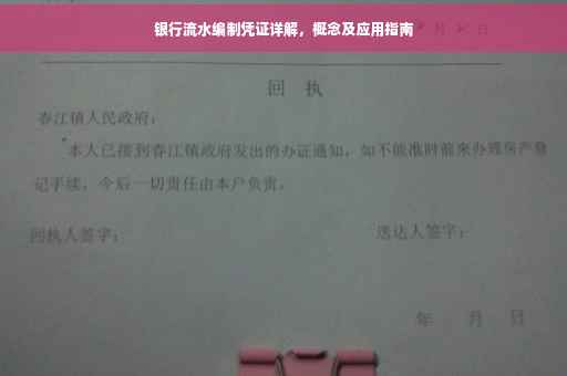 银行流水编制凭证详解，概念及应用指南