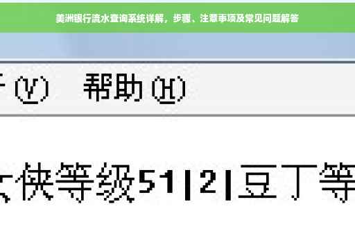 美洲银行流水查询系统详解，步骤、注意事项及常见问题解答
