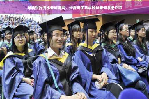 阜新银行流水查询详解，步骤与注意事项及查询系统介绍