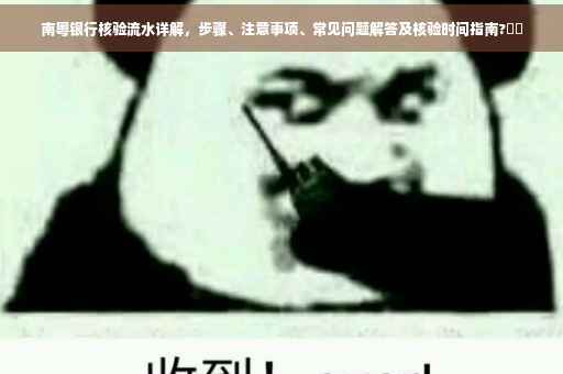 南粤银行核验流水详解，步骤、注意事项、常见问题解答及核验时间指南?⚡️