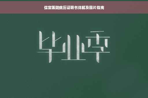 信宜医院病历证明书详解及图片指南