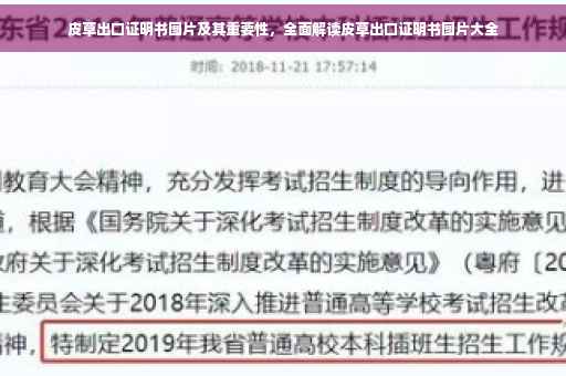 皮草出口证明书图片及其重要性，全面解读皮草出口证明书图片大全