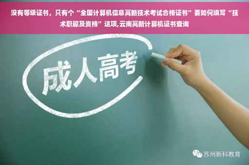 没有等级证书，只有个“全国计算机信息高新技术考试合格证书”要如何填写“技术职称及资格”这项,云南高新计算机证书查询