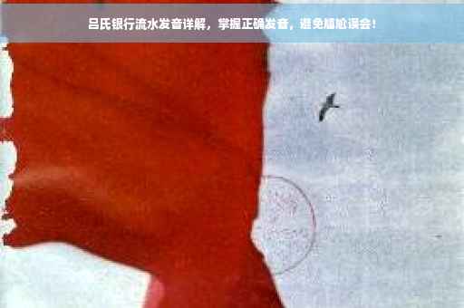 吕氏银行流水发音详解，掌握正确发音，避免尴尬误会！