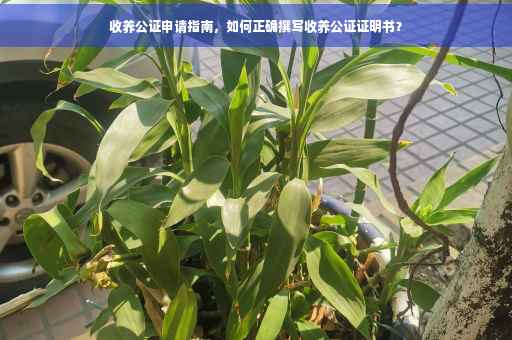 收养公证申请指南，如何正确撰写收养公证证明书？