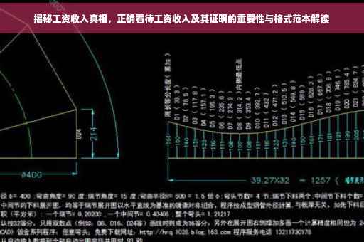 揭秘工资收入真相，正确看待工资收入及其证明的重要性与格式范本解读