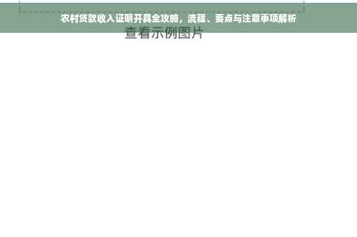 农村贷款收入证明开具全攻略，流程、要点与注意事项解析