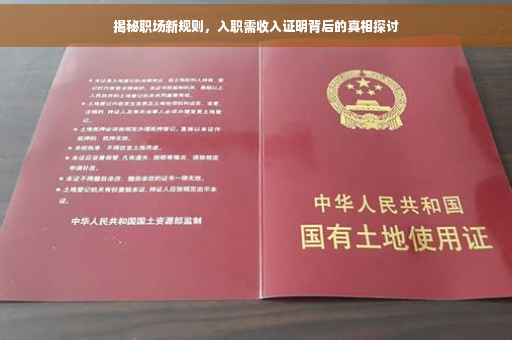 揭秘职场新规则，入职需收入证明背后的真相探讨