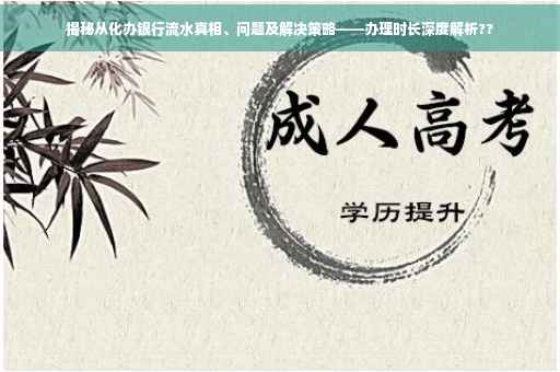 揭秘从化办银行流水真相、问题及解决策略——办理时长深度解析??