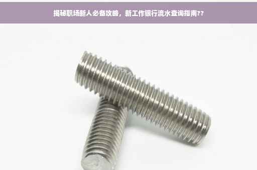 揭秘职场新人必备攻略，新工作银行流水查询指南??