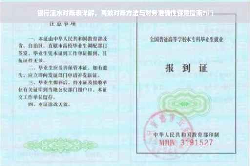银行流水对账表详解，高效对账方法与财务准确性保障指南?⚡️