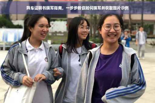 购车证明书撰写指南，一步步教你如何撰写并获取图片示例