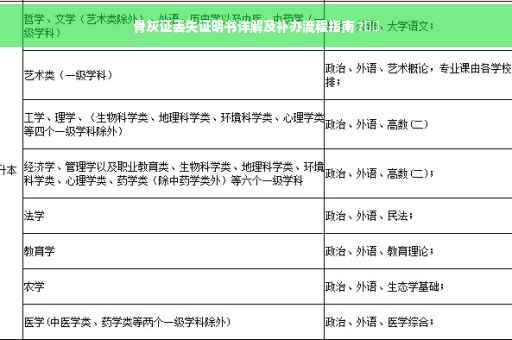 骨灰证丢失证明书详解及补办流程指南 ?⚡️