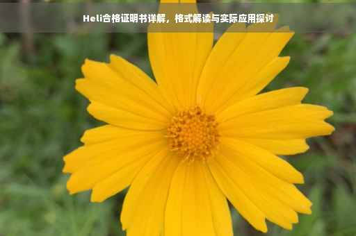 Heli合格证明书详解，格式解读与实际应用探讨