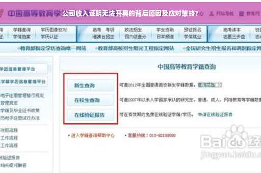 公司收入证明无法开具的背后原因及应对策略?