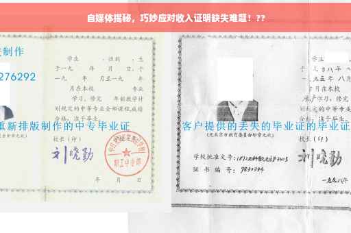 自媒体揭秘，巧妙应对收入证明缺失难题！??