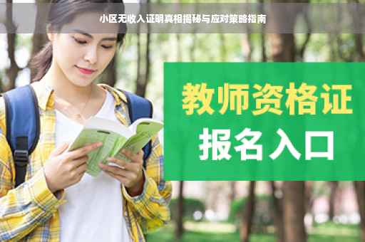 小区无收入证明真相揭秘与应对策略指南