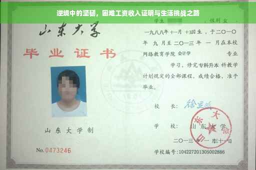逆境中的坚韧，困难工资收入证明与生活挑战之路