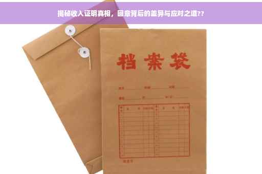 揭秘收入证明真相，圆章背后的差异与应对之道??