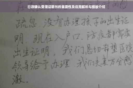 行政确认受理证明书的重要性及应用解析与模板介绍