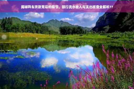 揭秘购车贷款背后的细节，银行流水收入与支出核查全解析??