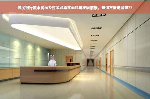 农民银行流水揭示乡村金融真实面貌与发展前景，查询方法与展望??