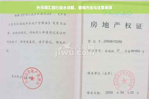 外币现汇银行流水详解，查询方法与注意事项