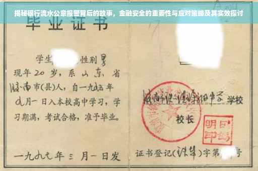 揭秘银行流水公章报警背后的故事，金融安全的重要性与应对策略及其实效探讨