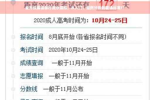全方位解读银行流水监控，从入门、案例分析到精通标准??