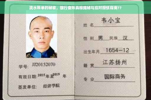 流水账单的秘密，银行查账真相揭秘与应对担忧指南??