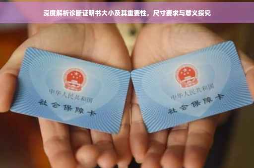 深度解析诊断证明书大小及其重要性，尺寸要求与意义探究