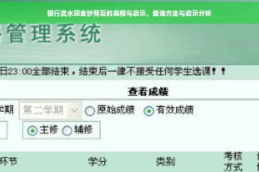 银行流水现金钞背后的真相与启示，查询方法与启示分析