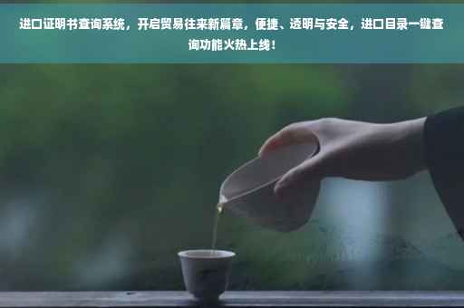 进口证明书查询系统，开启贸易往来新篇章，便捷、透明与安全，进口目录一键查询功能火热上线！