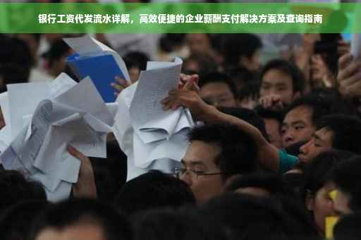 银行工资代发流水详解，高效便捷的企业薪酬支付解决方案及查询指南
