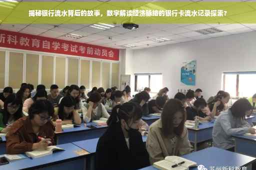 揭秘银行流水背后的故事，数字解读经济脉络的银行卡流水记录探索?