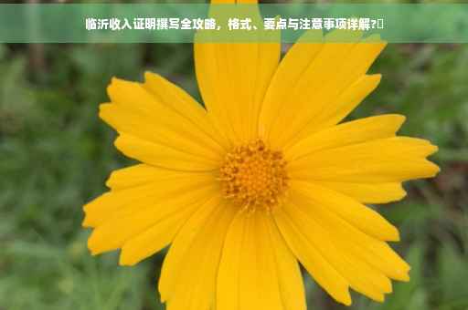 临沂收入证明撰写全攻略，格式、要点与注意事项详解?✨