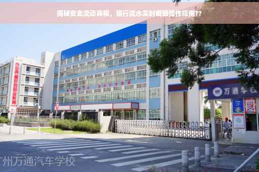 揭秘资金流动真相，银行流水实时截图操作指南??