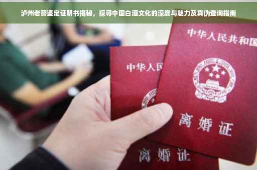 泸州老窖鉴定证明书揭秘，探寻中国白酒文化的深度与魅力及真伪查询指南