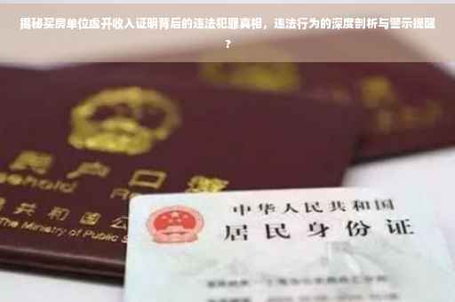 揭秘买房单位虚开收入证明背后的违法犯罪真相，违法行为的深度剖析与警示提醒?